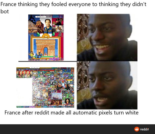 活动最后2小时，Reddit把所有的像素颜色都换成了白色，于是法国🇫🇷国旗被他们自己的机器人给涂白了
